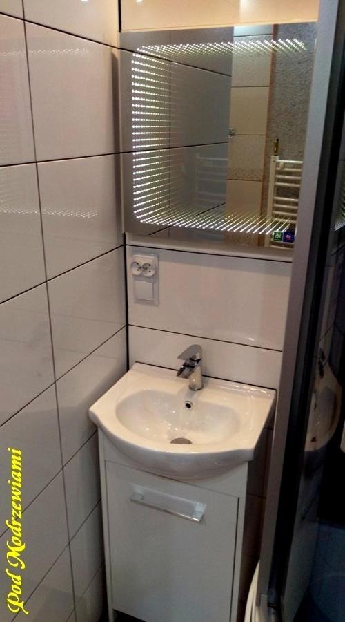 Pod Modrzewiami Villa Ciche  Buitenkant foto